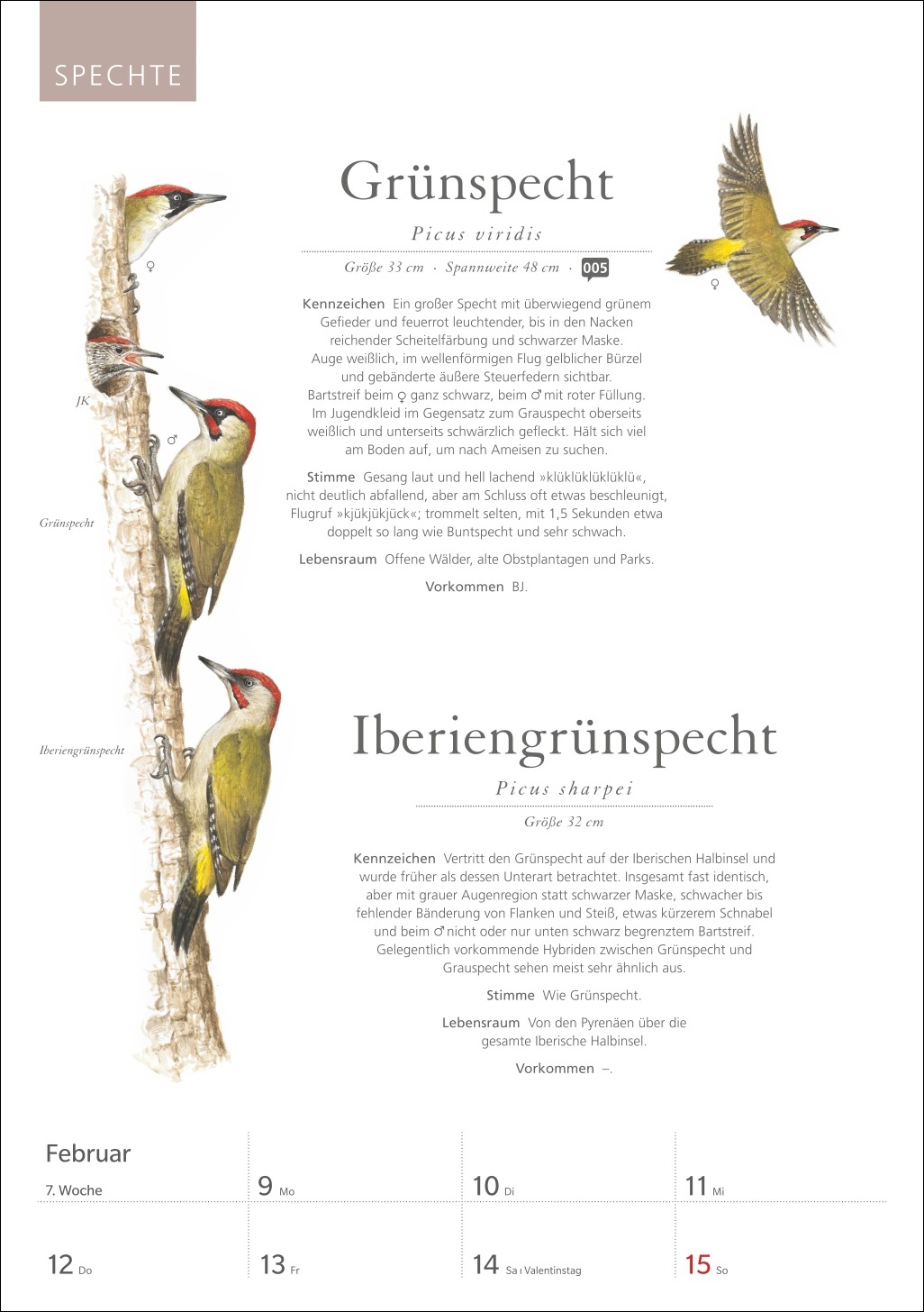 9783840037696_innenansicht_07.jpg