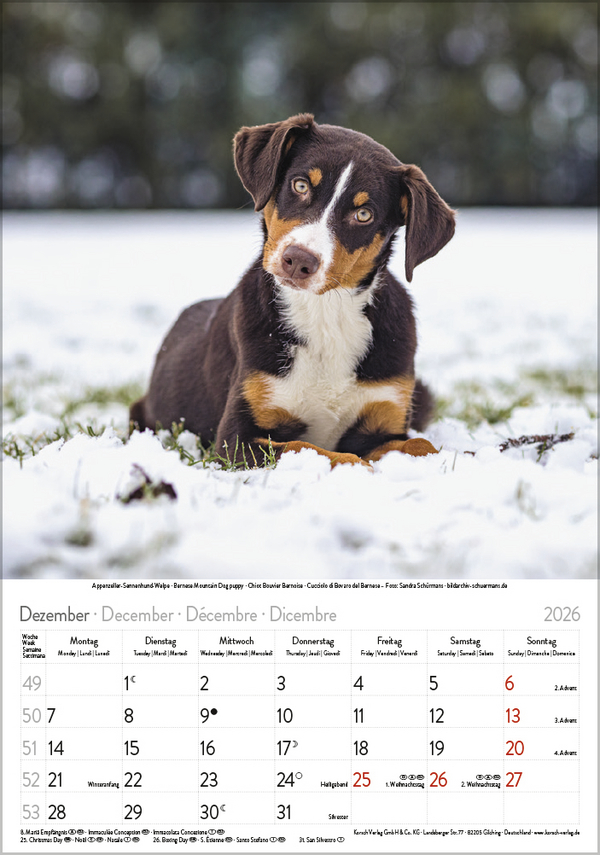 9783731883616_innenansicht_12 9783731883616_innenansicht_12.jpg