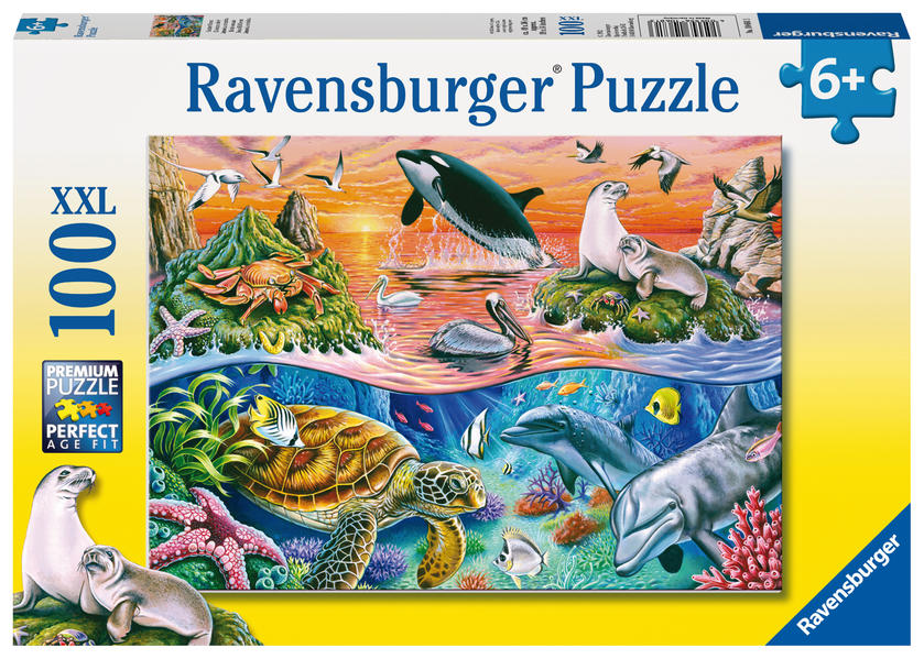 4005556106813 4005556106813