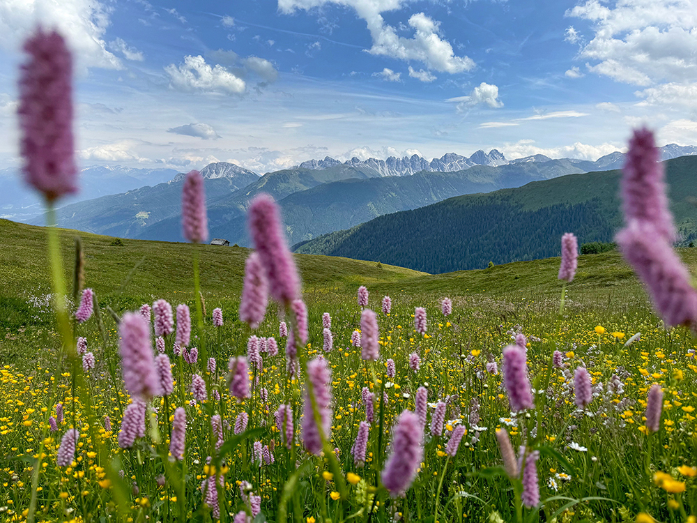 9783702242657_innenansicht_02 9783702242657_innenansicht_02.jpg