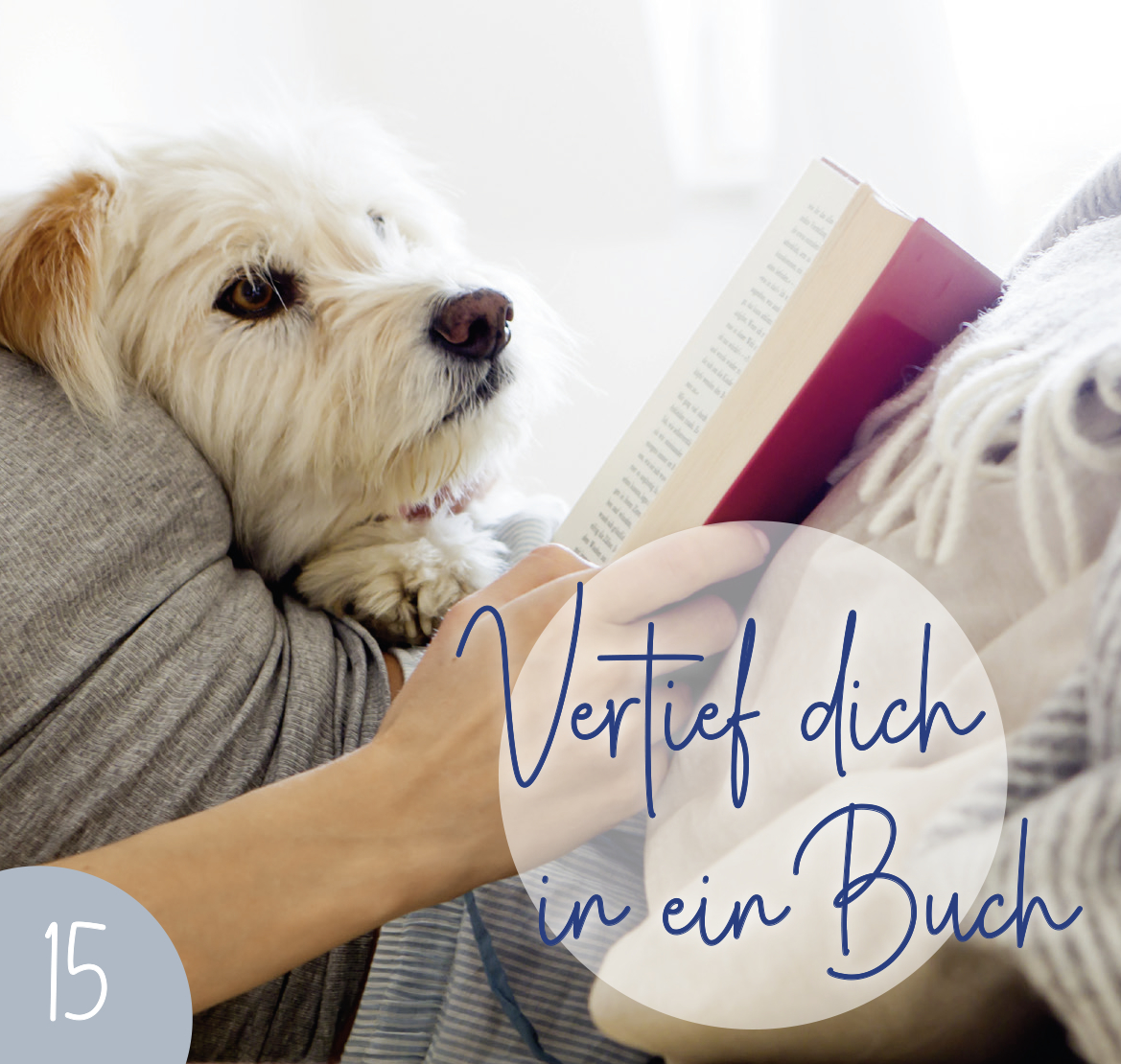 4036442008041_innenansicht_07.jpg
