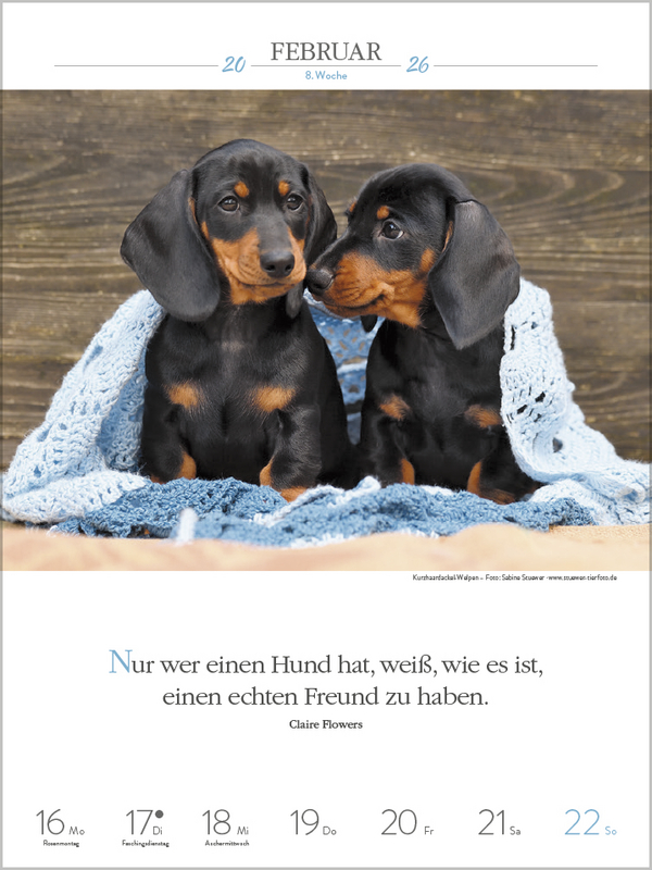 9783731884392_innenansicht_02.jpg