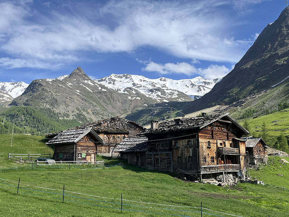 9783702242602_innenansicht_07.jpg
