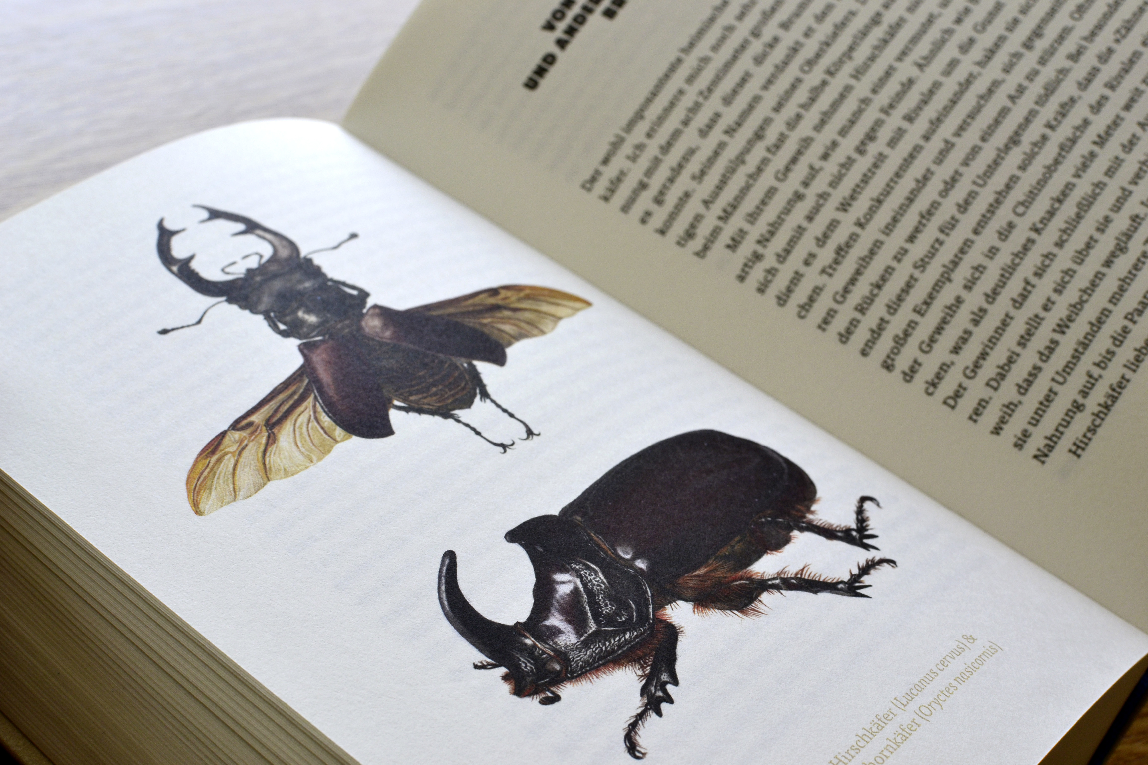 9783847900658_innenansicht_08.jpg 9783847900658_innenansicht_08.jpg