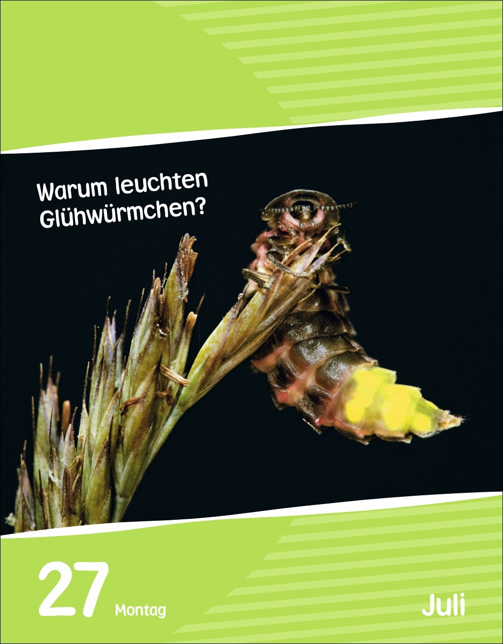 9783840035517_innenansicht_09.jpg