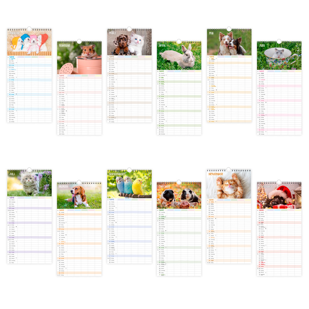 9783988023988_innenansicht_04 9783988023988_innenansicht_04.jpg