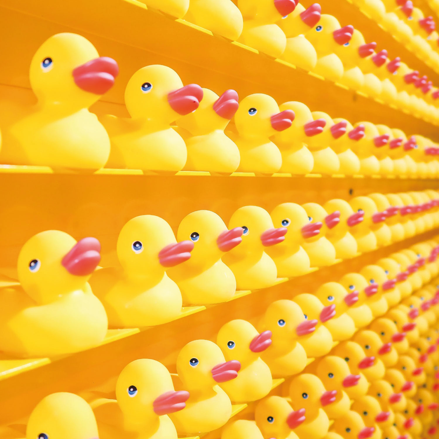 4027537000811_innenansicht_03 4027537000811_innenansicht_03.jpg