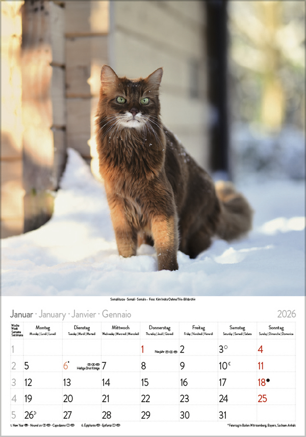 9783731883609_innenansicht_01 9783731883609_innenansicht_01.jpg