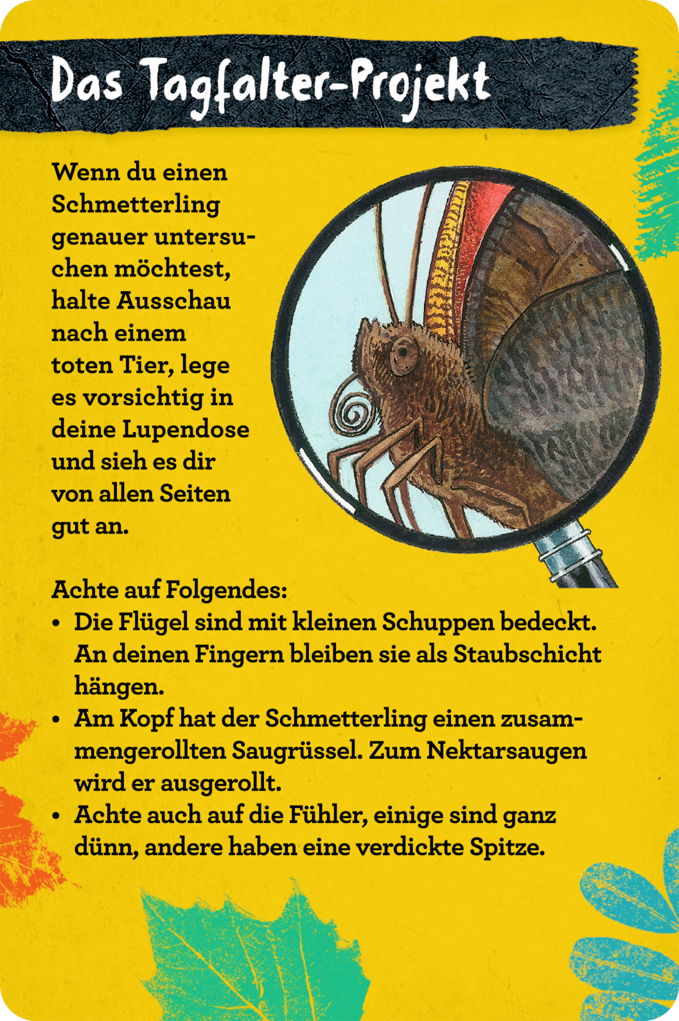 9783649647300_innenansicht_06.jpg