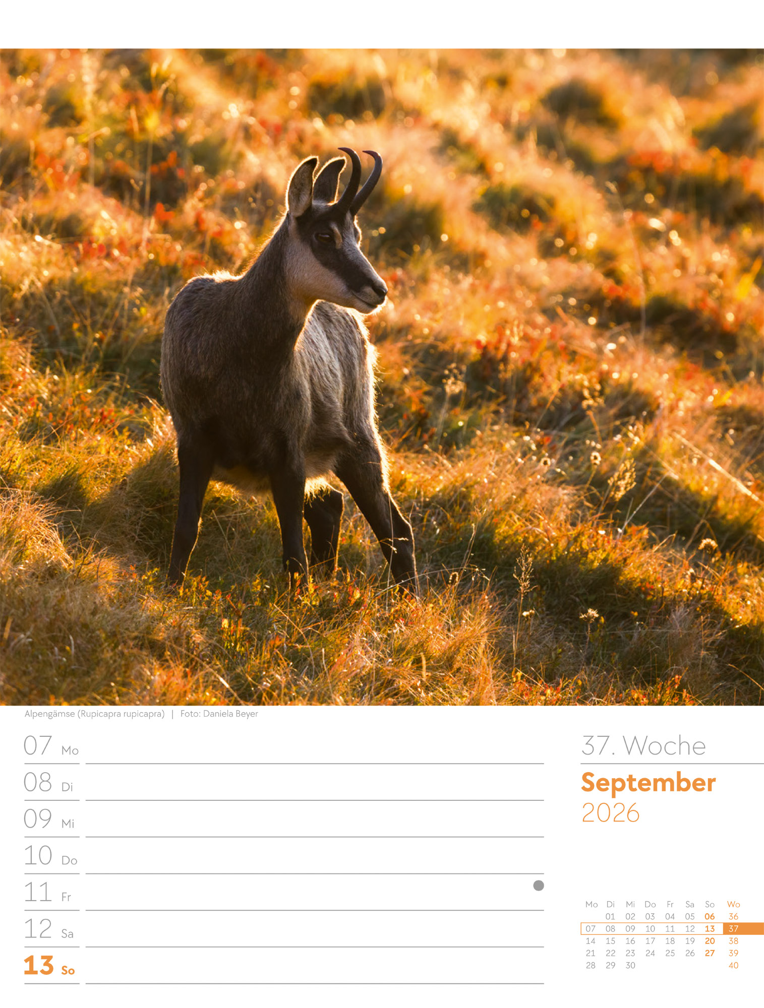 9783838436029_innenansicht_40 9783838436029_innenansicht_40.jpg