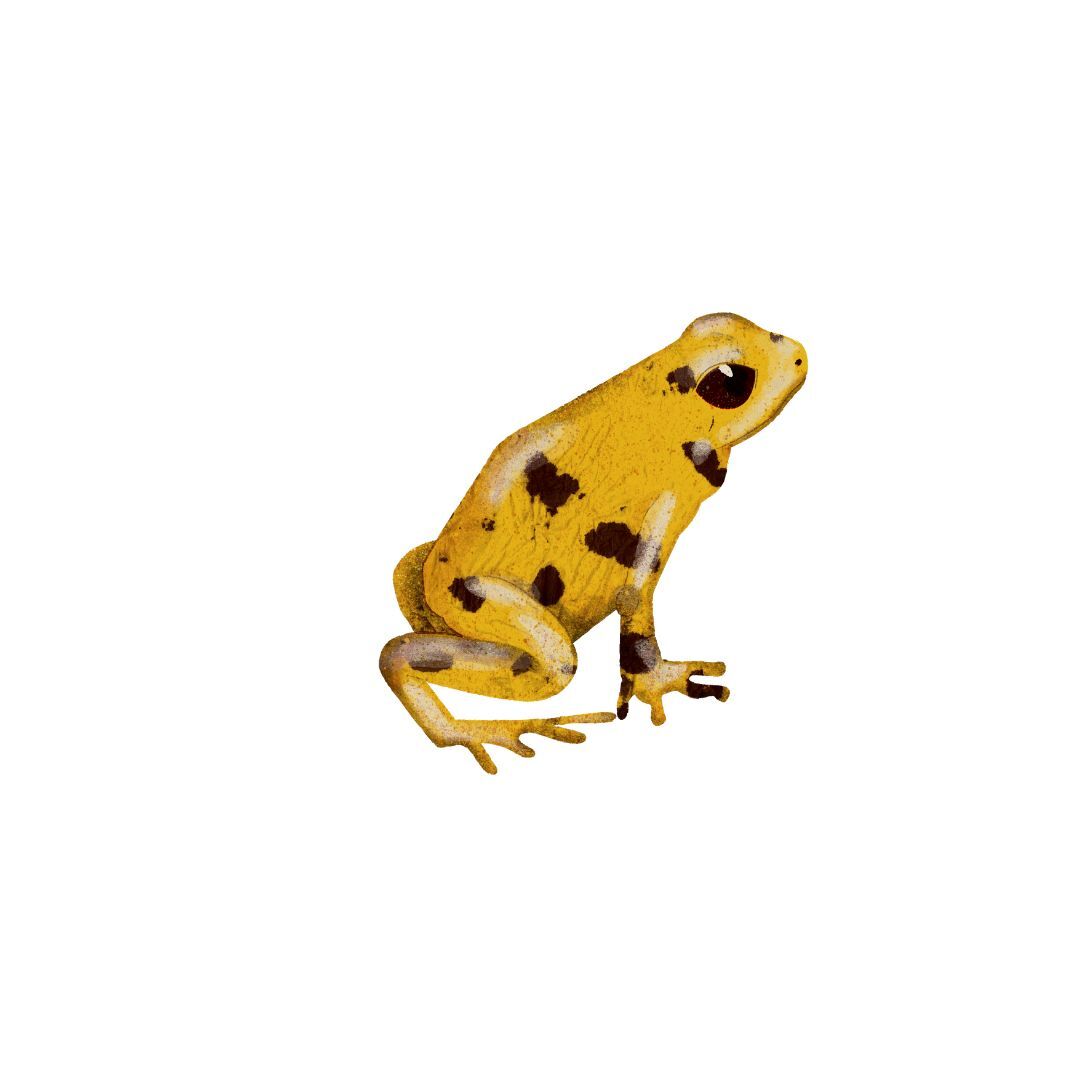 9783328604532_innenansicht_03.jpg