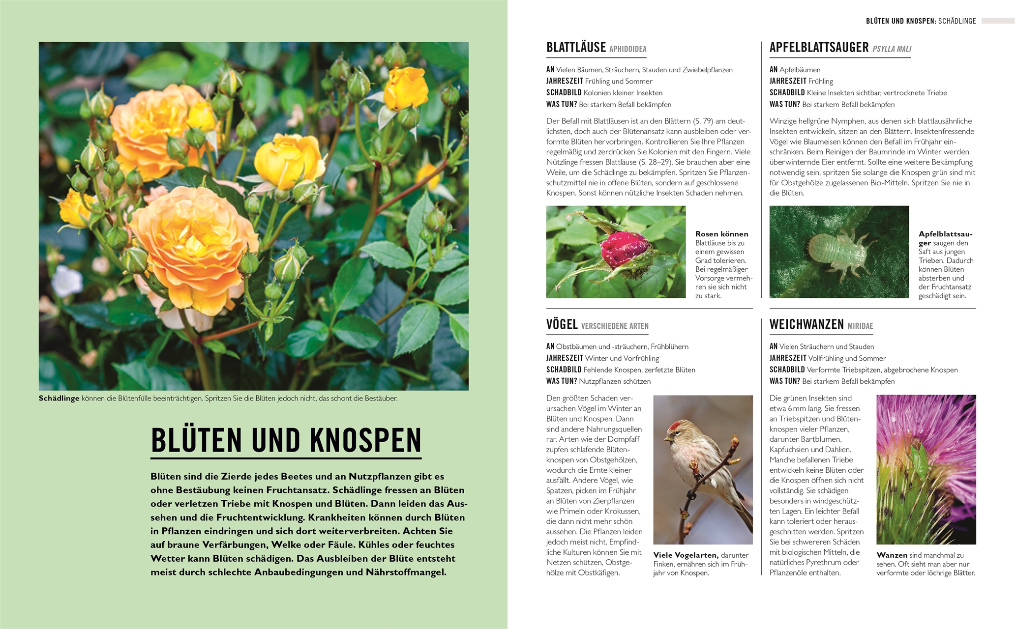 9783831046263_innenansicht_08.jpg