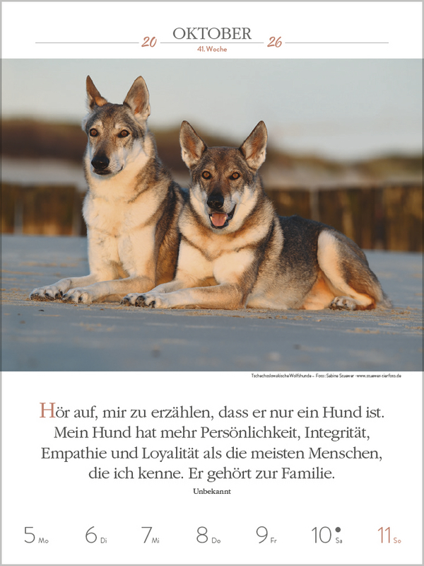 9783731884392_innenansicht_10.jpg