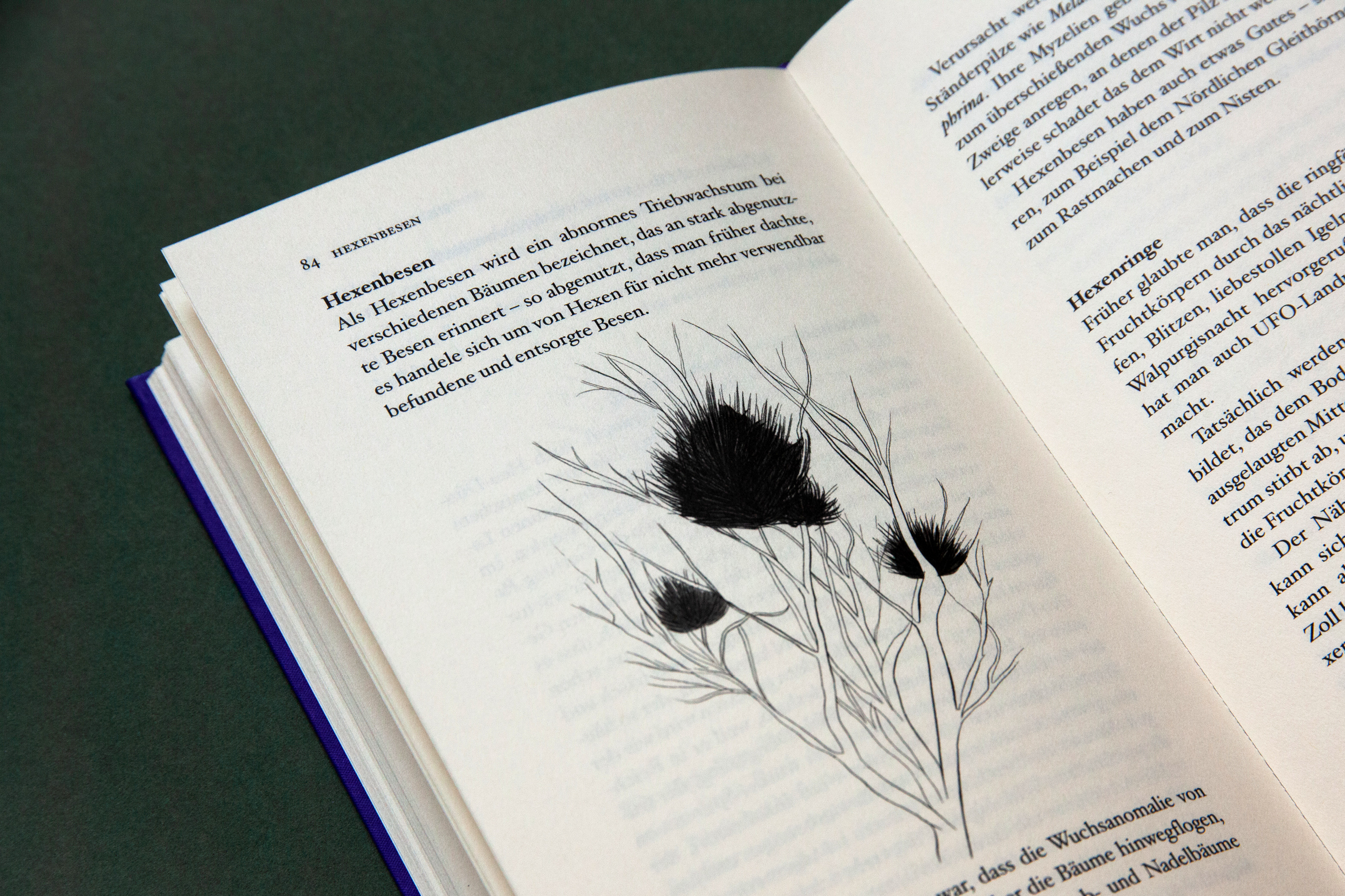 9783948722357_produktbild_06 9783948722357_produktbild_06.jpg