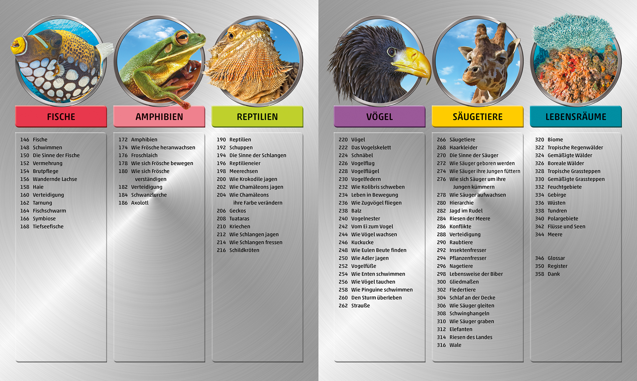 9783831035557_innenansicht_02 9783831035557_innenansicht_02.jpg