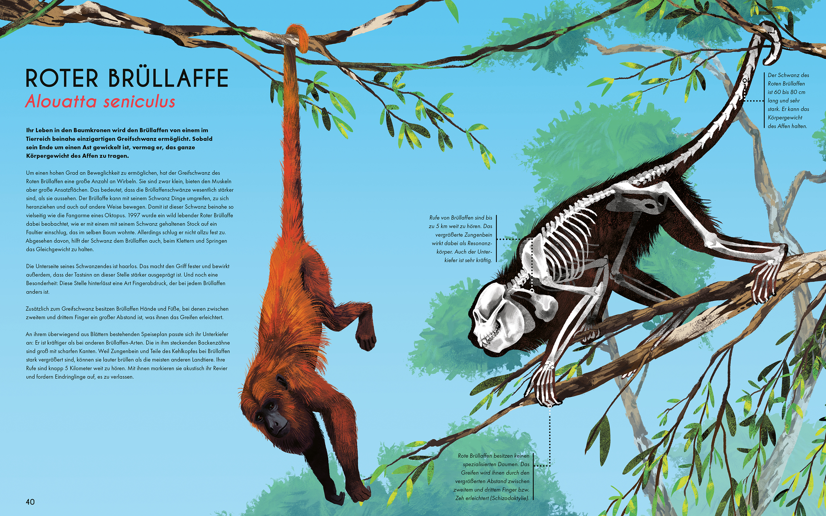 9783734860850_innenansicht_01 9783734860850_innenansicht_01.jpg