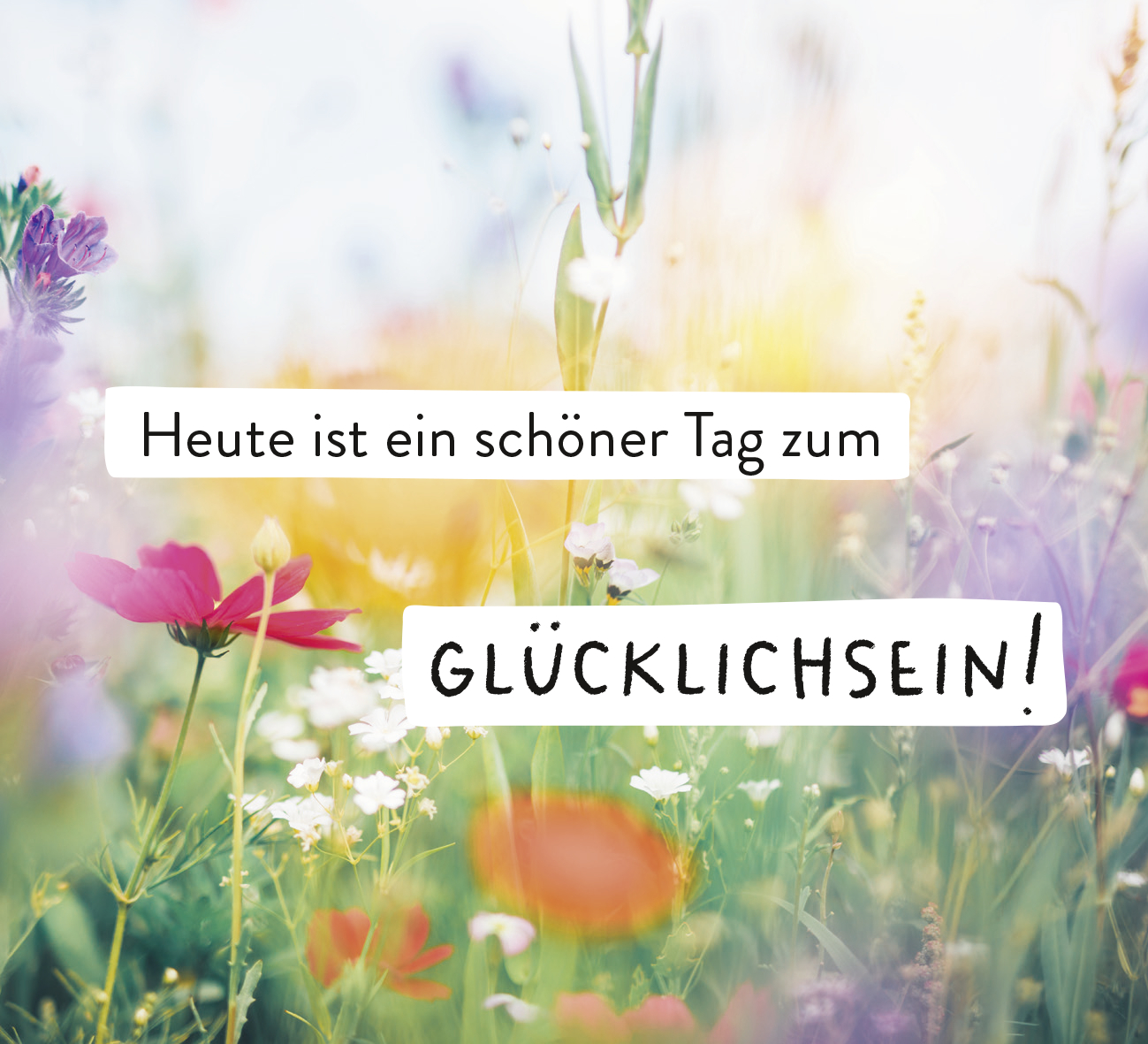 9783848502141_innenansicht_04.jpg