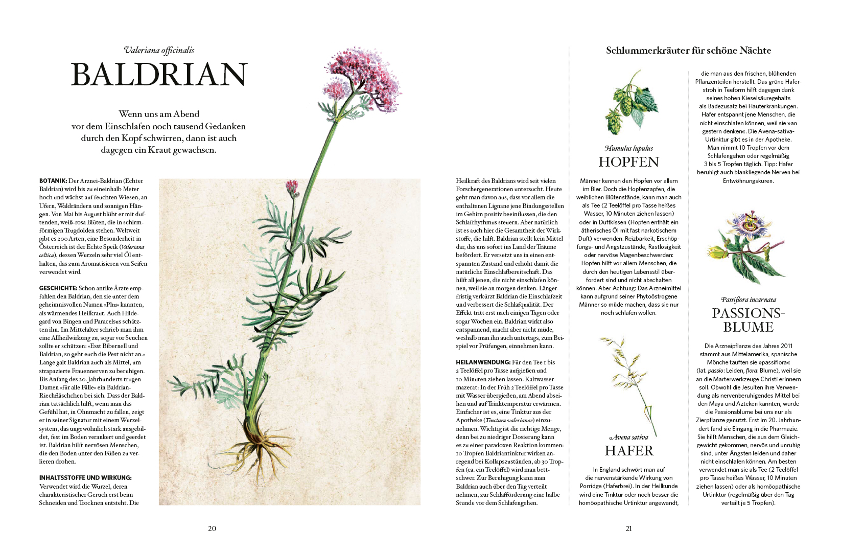 9783710401718_innenansicht_02 9783710401718_innenansicht_02.jpg