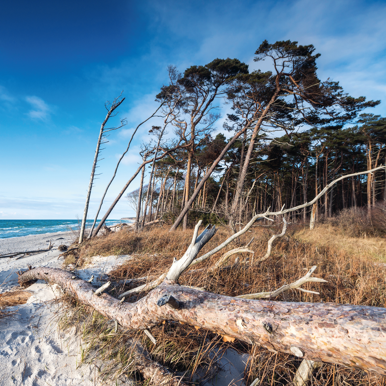 9783965913141_innenansicht_02 9783965913141_innenansicht_02.jpg