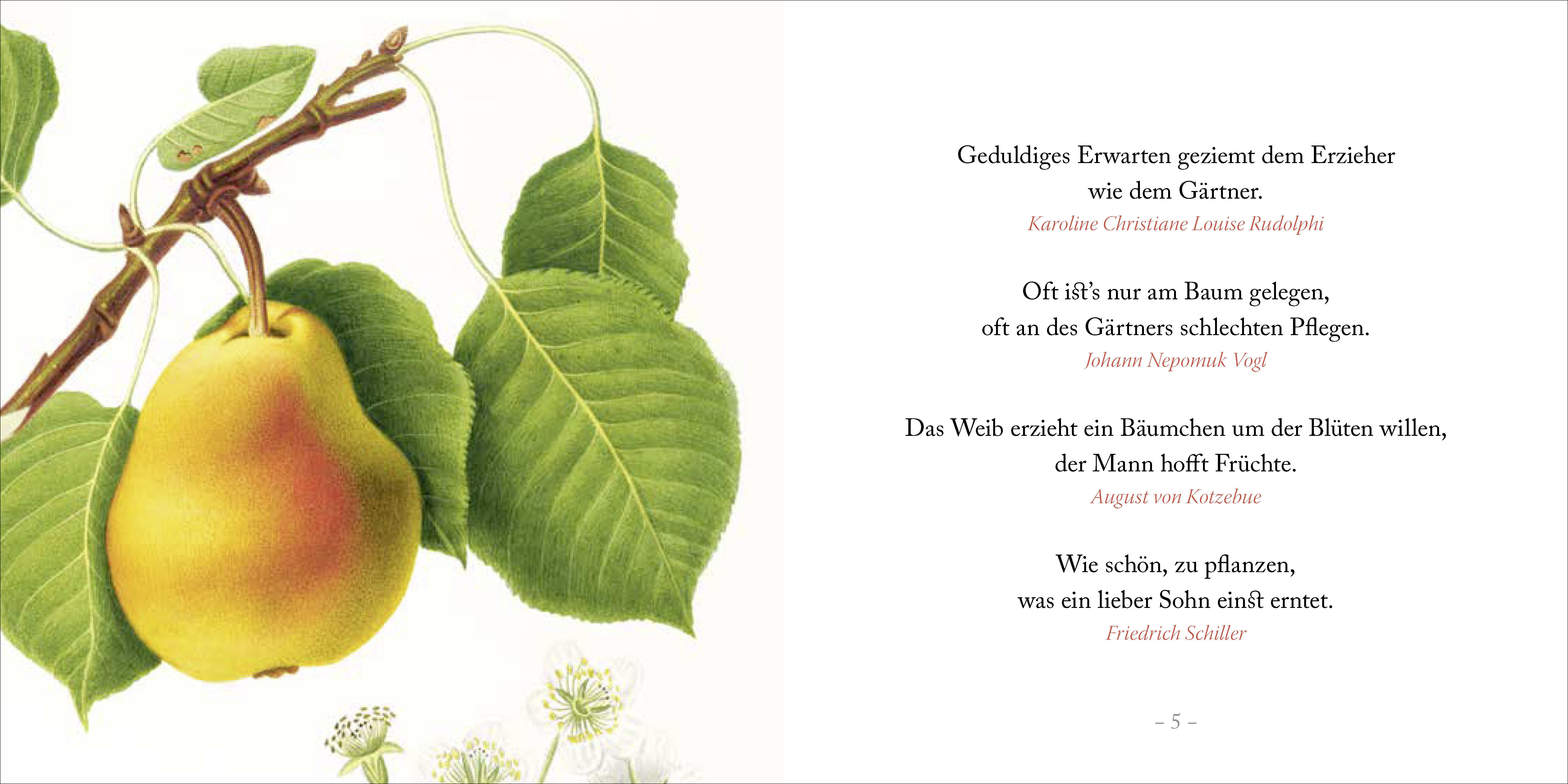9783941683815_innenansicht_02.jpg