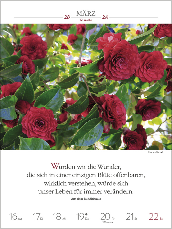 9783731887577_innenansicht_02.jpg