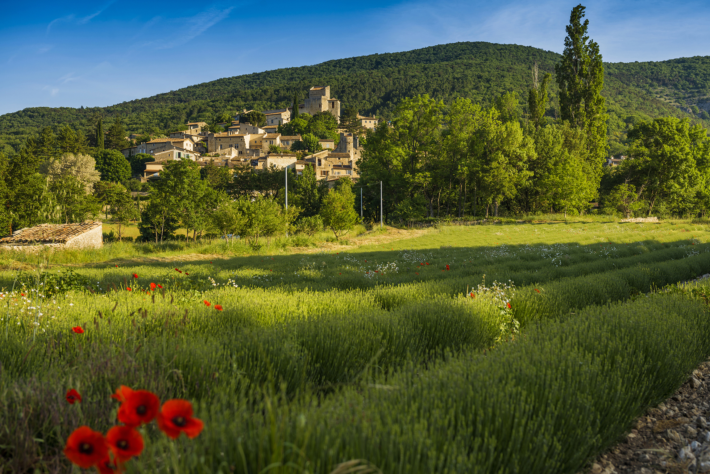 9783734331855_innenansicht_08 9783734331855_innenansicht_08.jpg