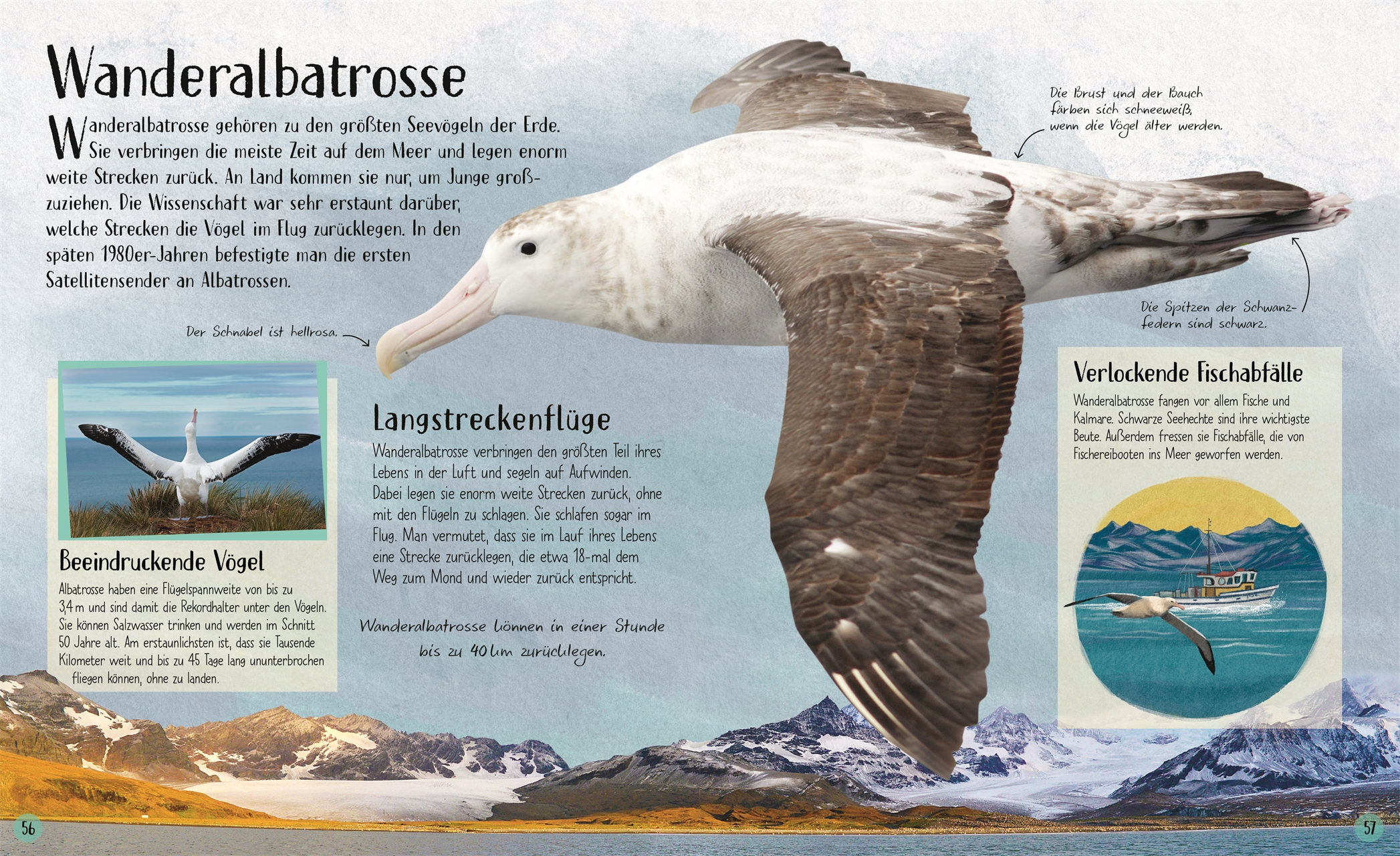 9783831051090_innenansicht_08 9783831051090_innenansicht_08.jpg