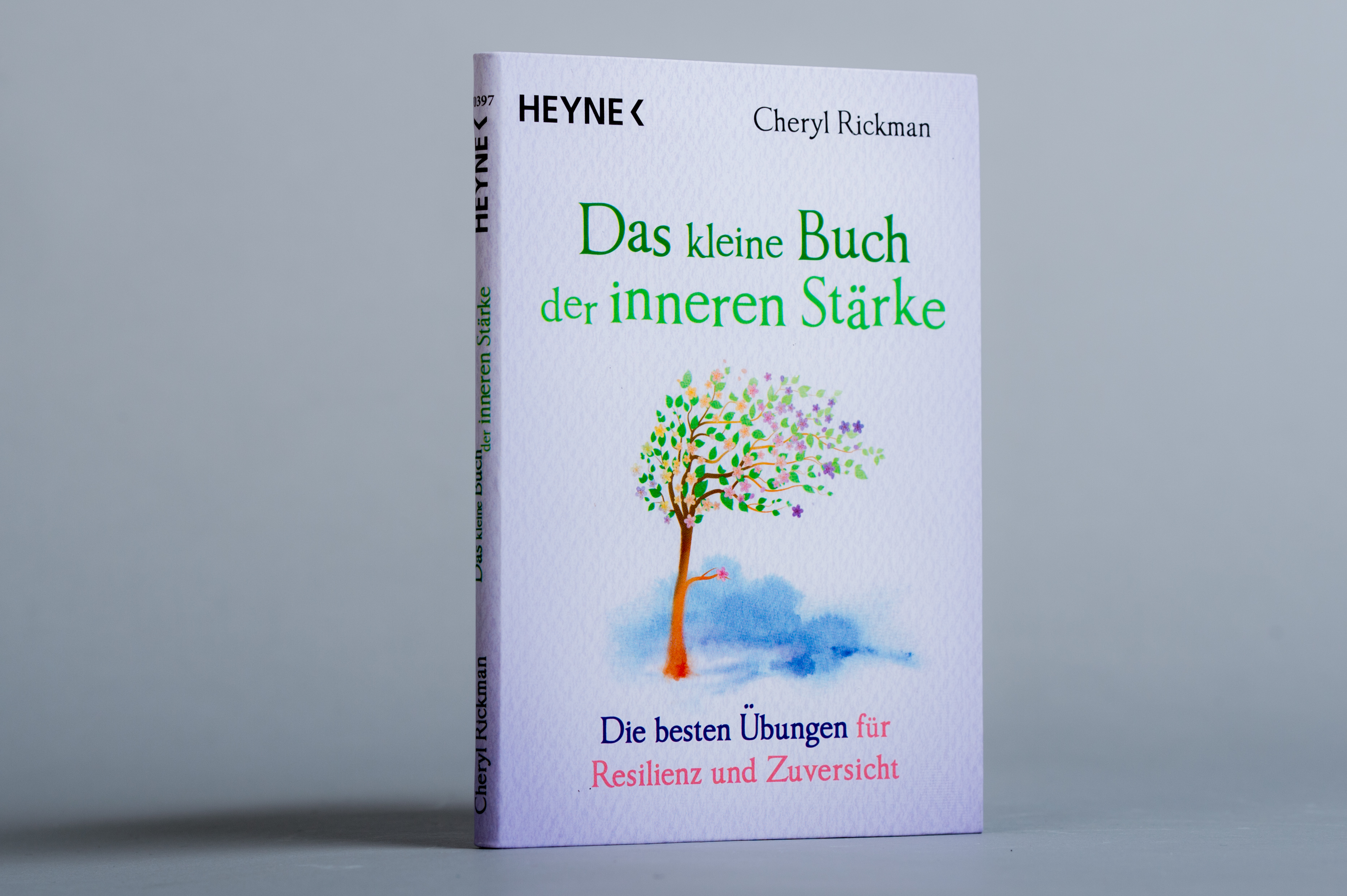 9783453703971_innenansicht_04.jpg