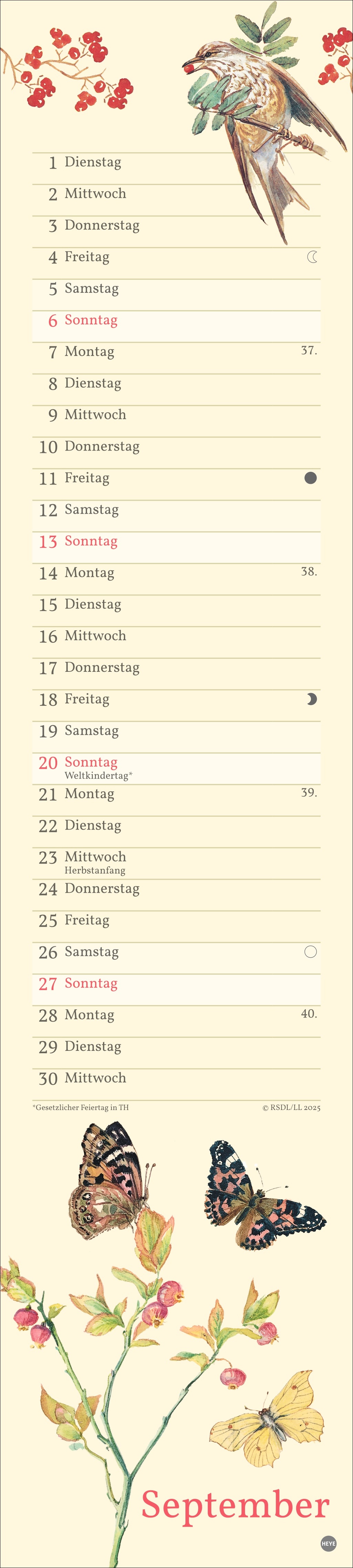 9783756409587_innenansicht_09.jpg