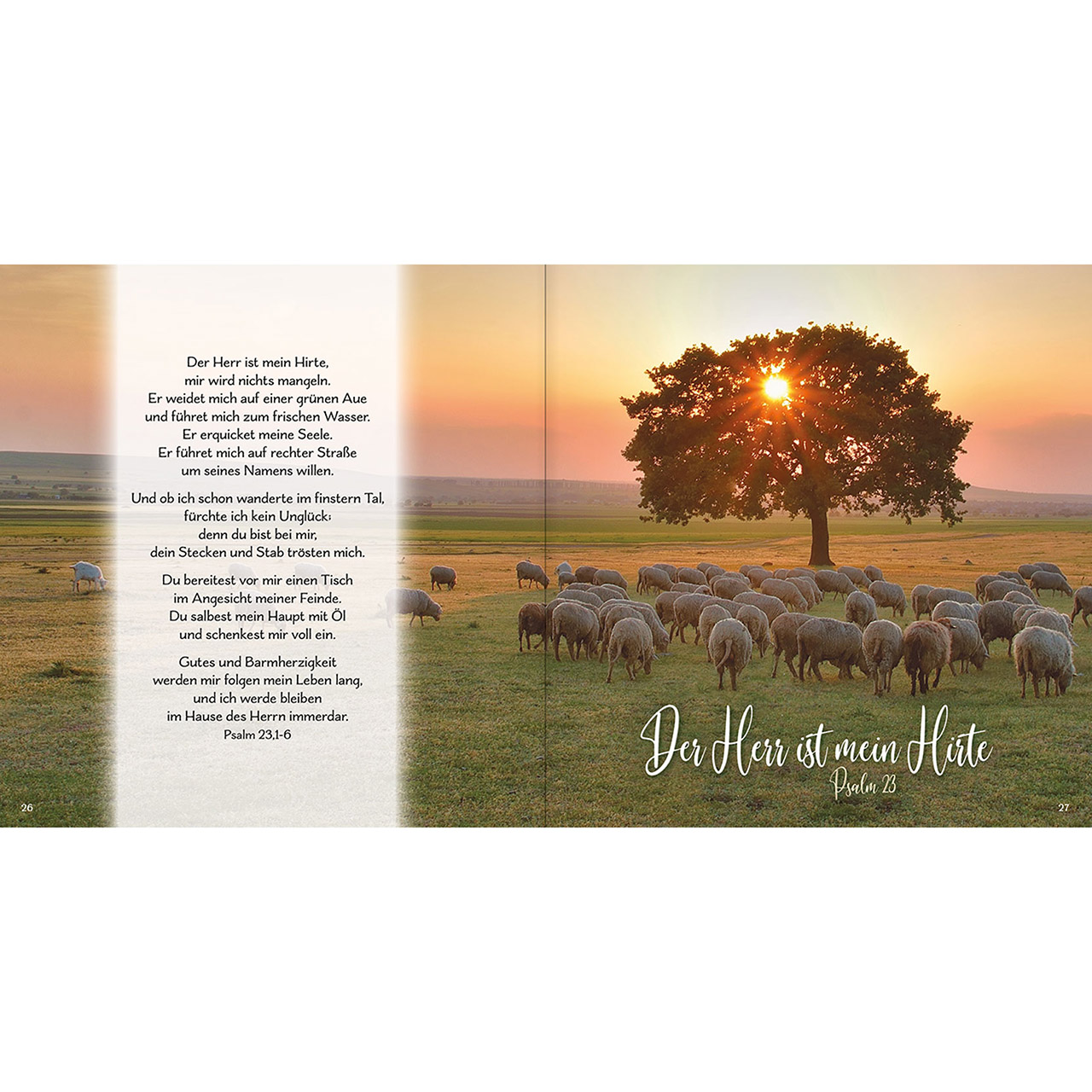 9783842935815_innenansicht_05 9783842935815_innenansicht_05.jpg