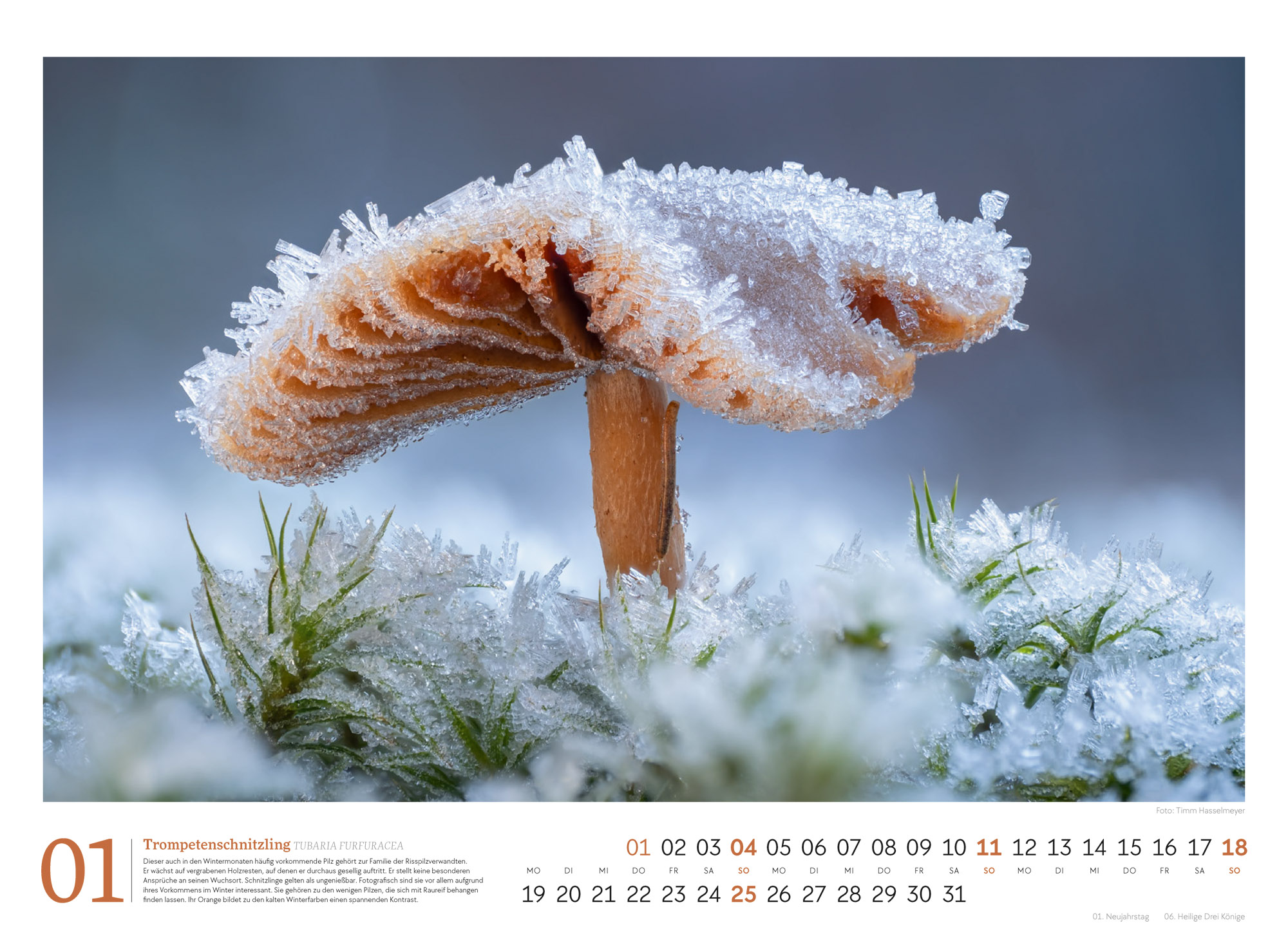 9783838436333_innenansicht_01 9783838436333_innenansicht_01.jpg