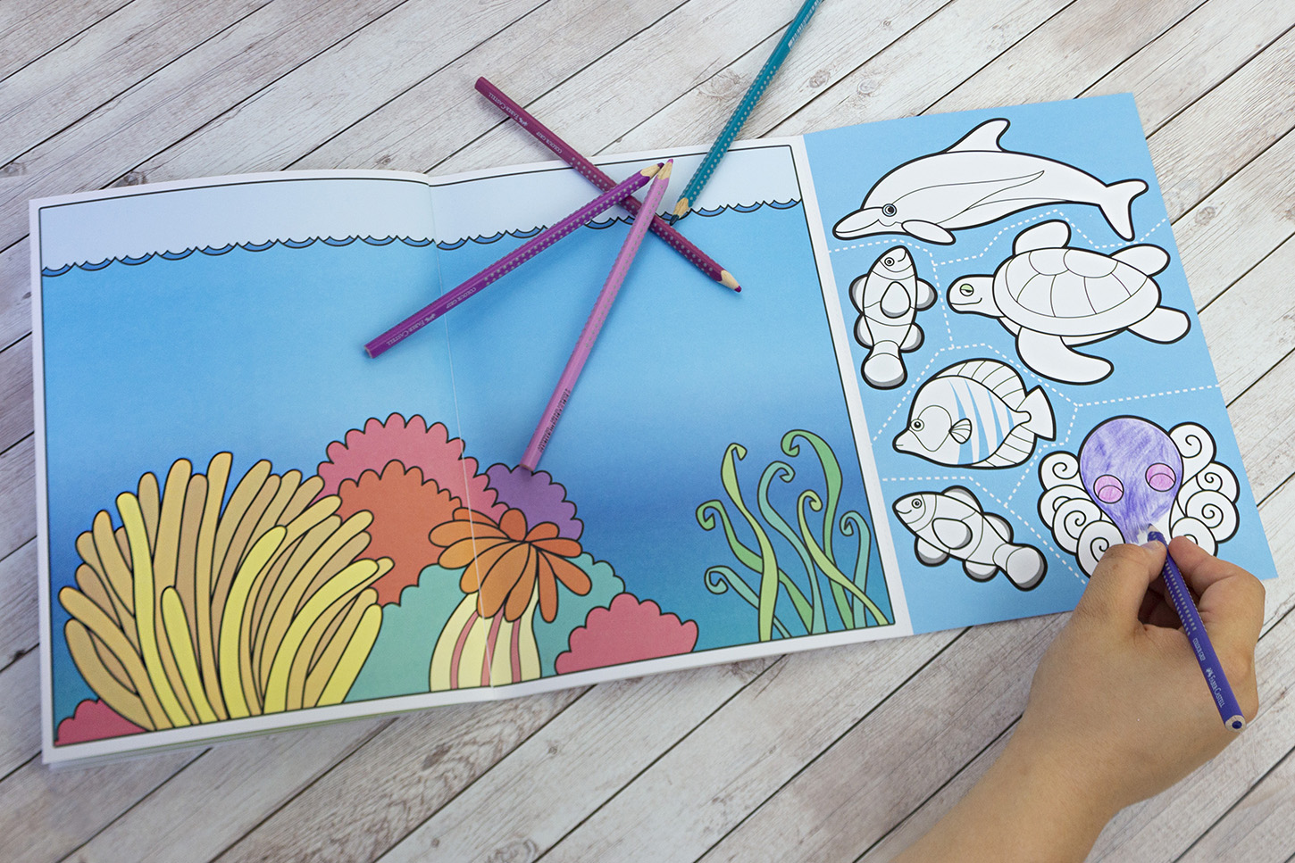 9783785586891_innenansicht_01 9783785586891_innenansicht_01.jpg