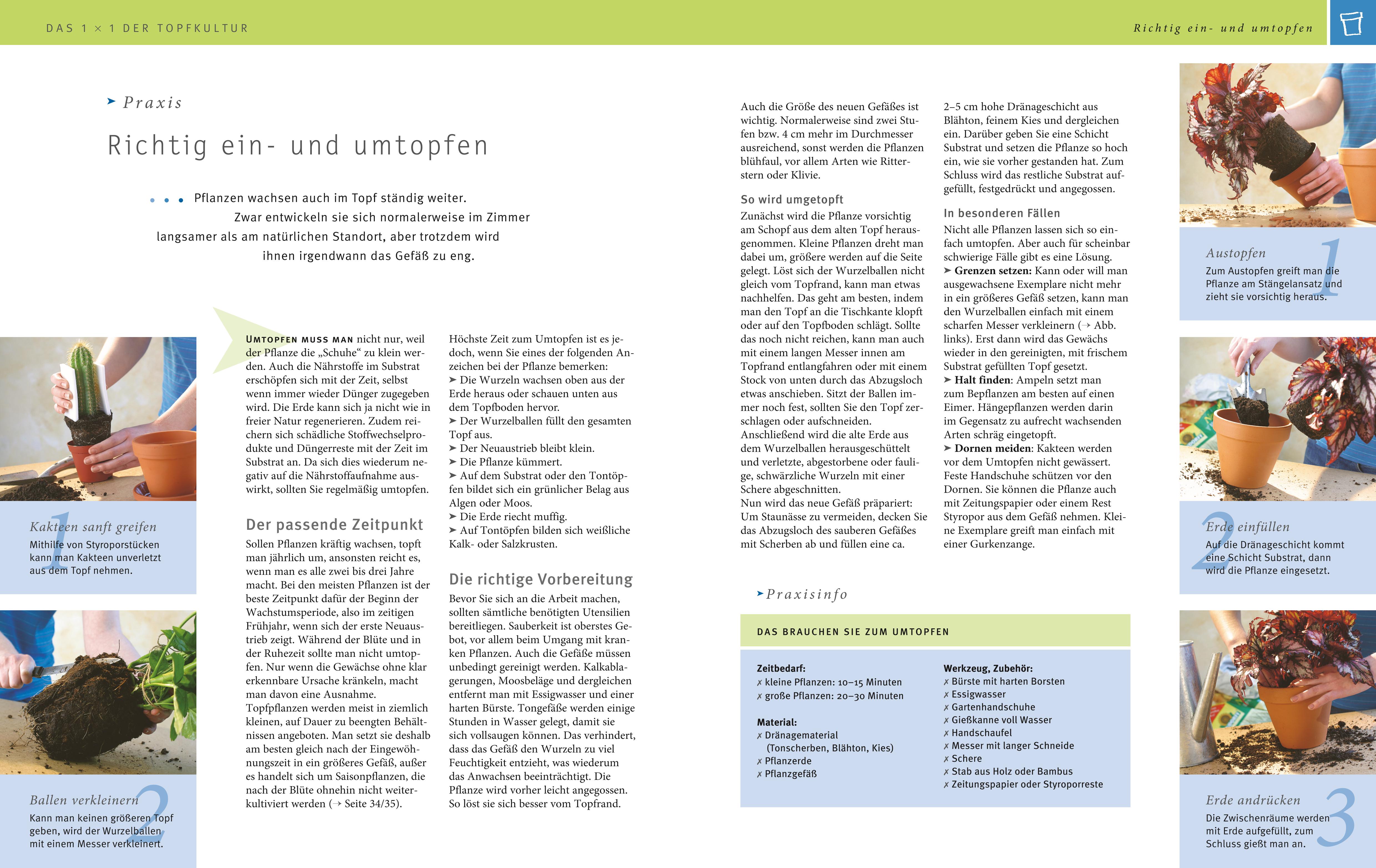 9783833853937_innenansicht_04 9783833853937_innenansicht_04.jpg