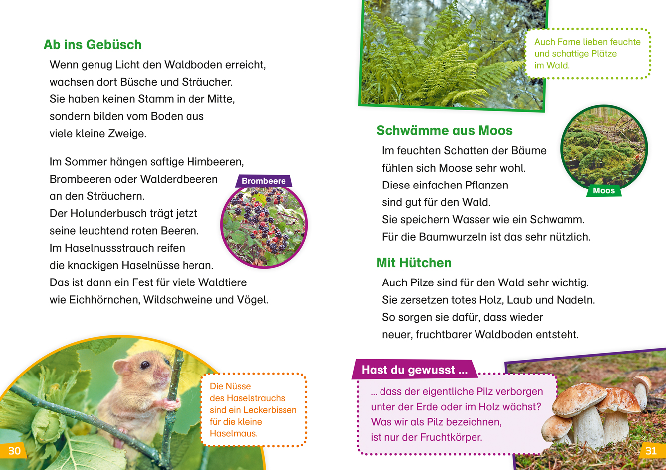 9783788626426_innenansicht_04 9783788626426_innenansicht_04.jpg