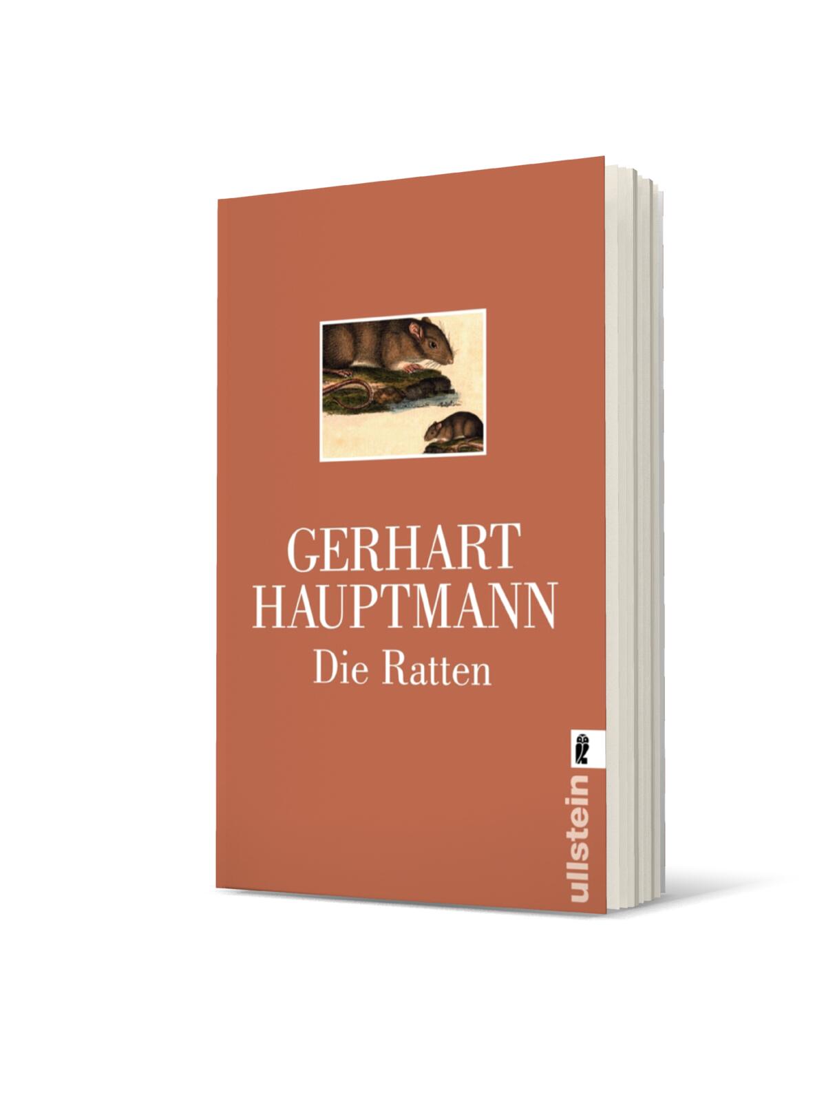 9783548235639_weiterecover_01 9783548235639_weiterecover_01.jpg