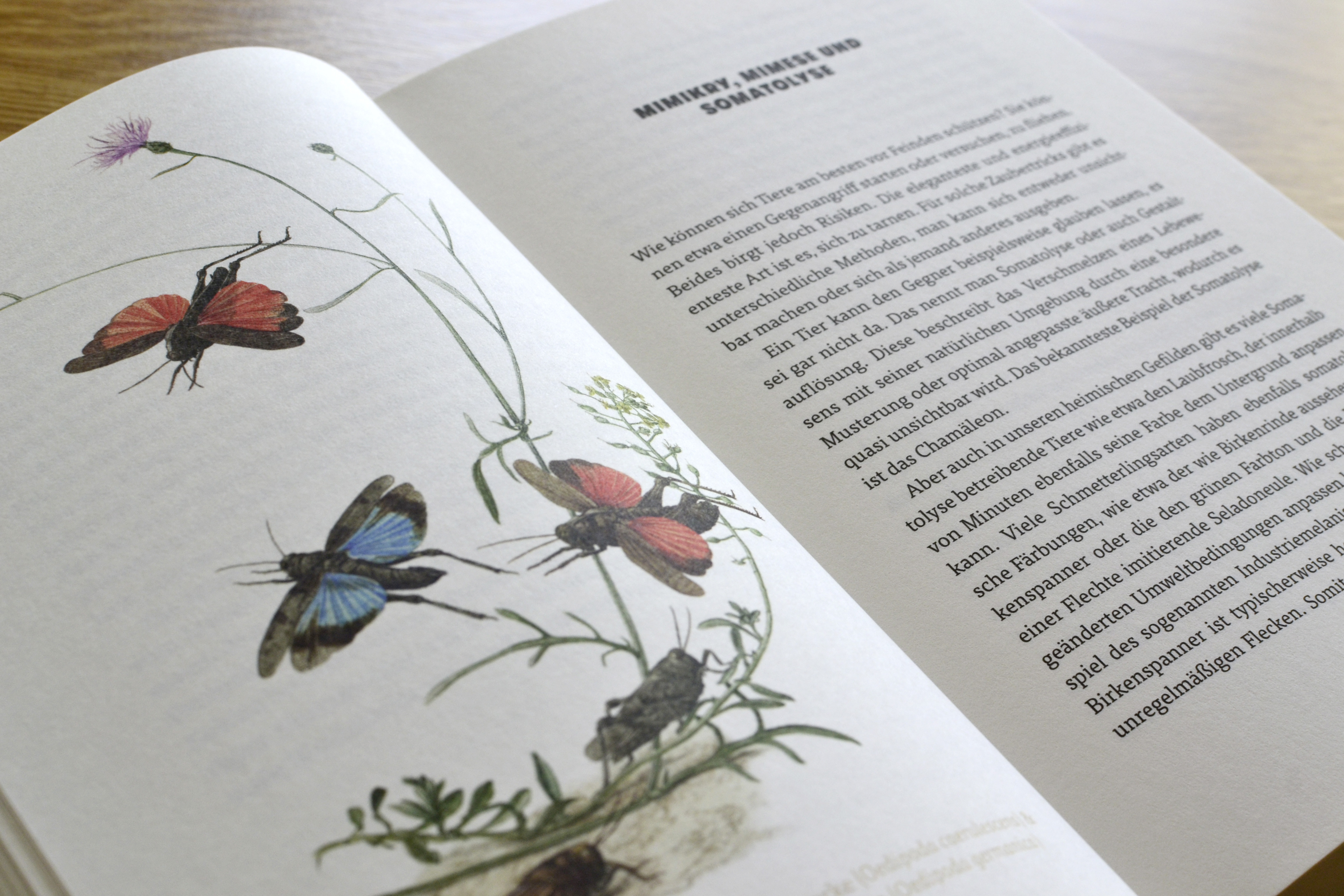 9783847900658_innenansicht_10.jpg 9783847900658_innenansicht_10.jpg