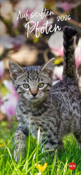 9783756409778 9783756409778