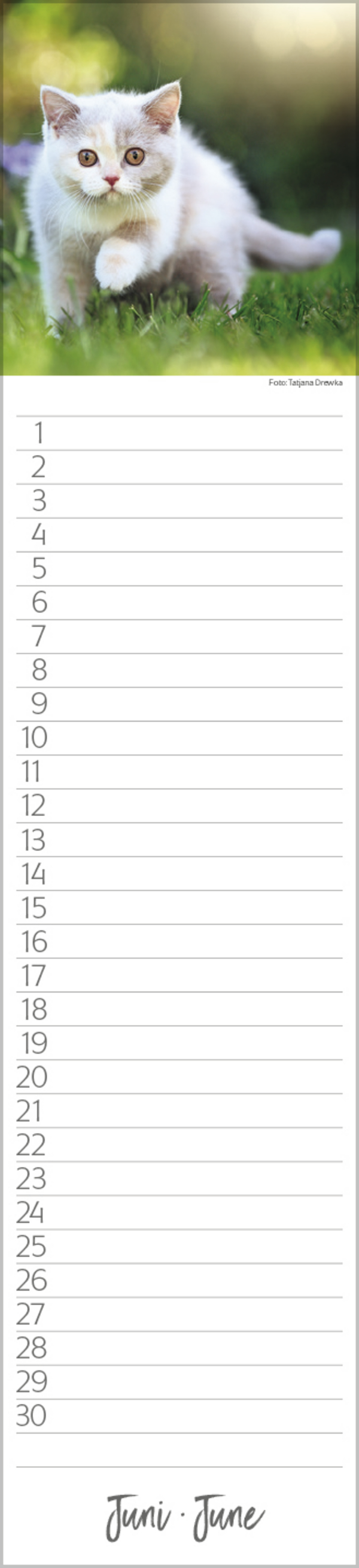 9783731887638_innenansicht_06 9783731887638_innenansicht_06.jpg