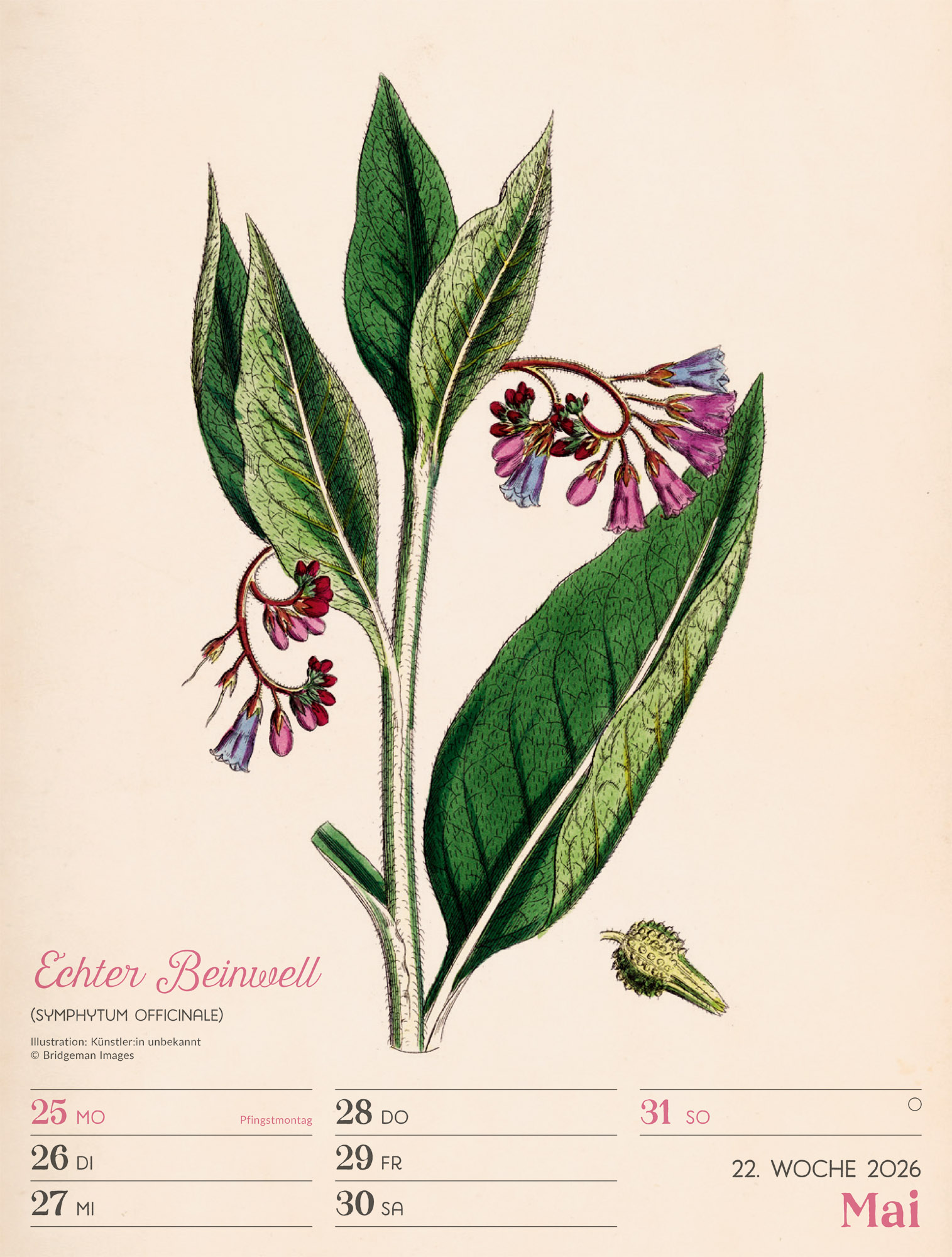 9783838436128_innenansicht_25 9783838436128_innenansicht_25.jpg