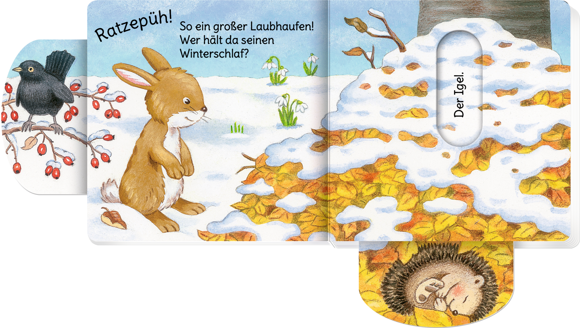 9783649647416_innenansicht_01.jpg