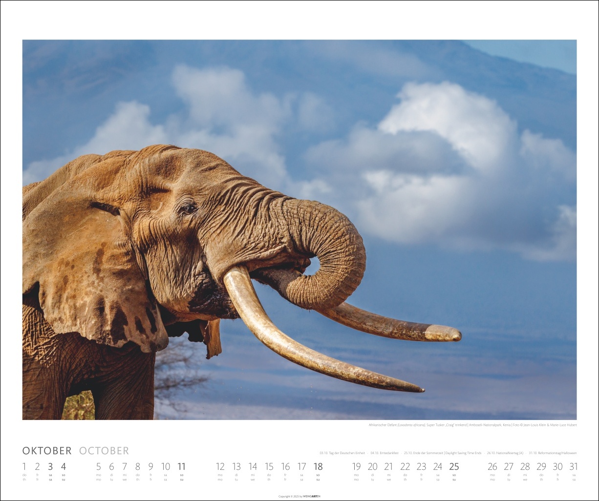 9783839901908_innenansicht_10 9783839901908_innenansicht_10.jpg