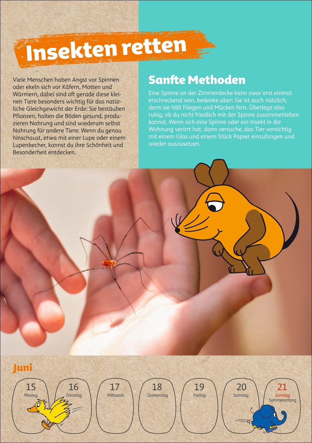9783840037986_innenansicht_06.jpg