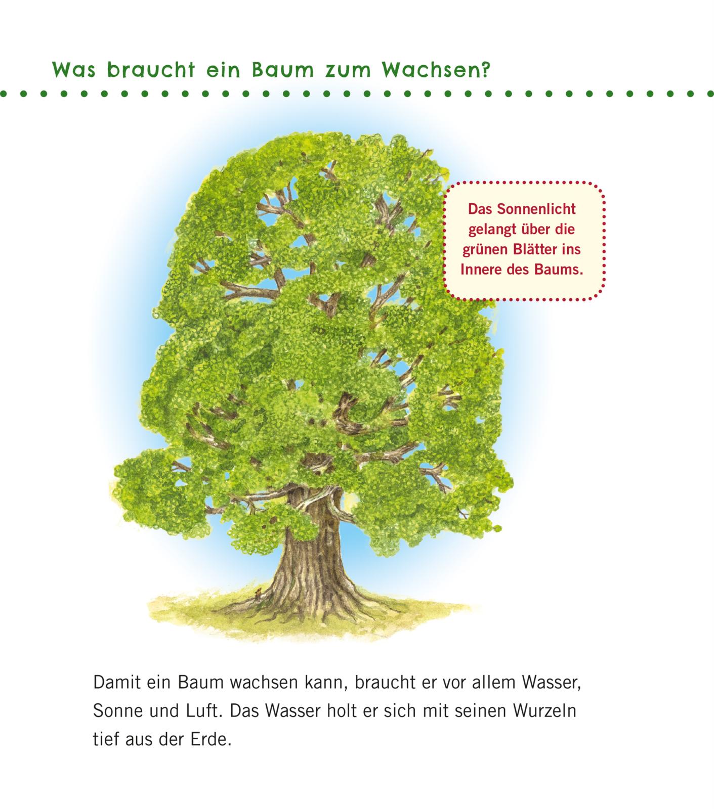9783551036087_innenansicht_09.jpg