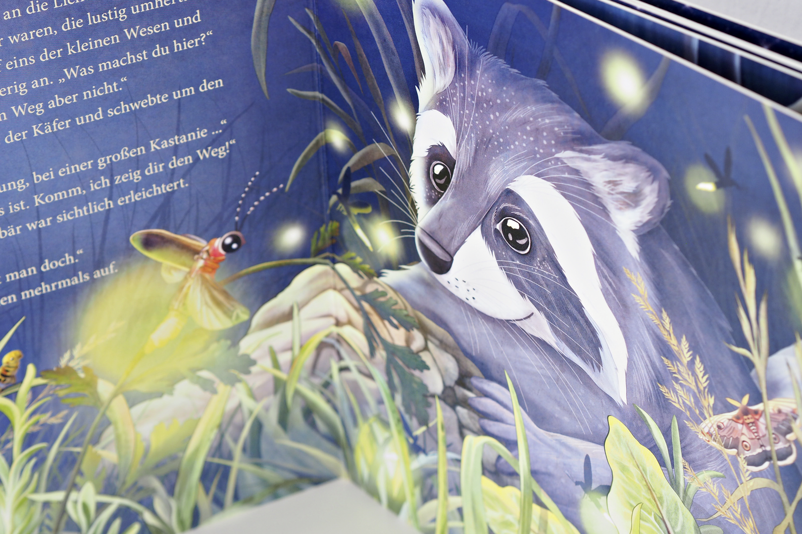 9783963401916_innenansicht_04 9783963401916_innenansicht_04.png