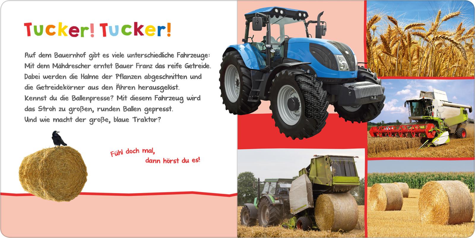 9783845845586_innenansicht_02.jpg