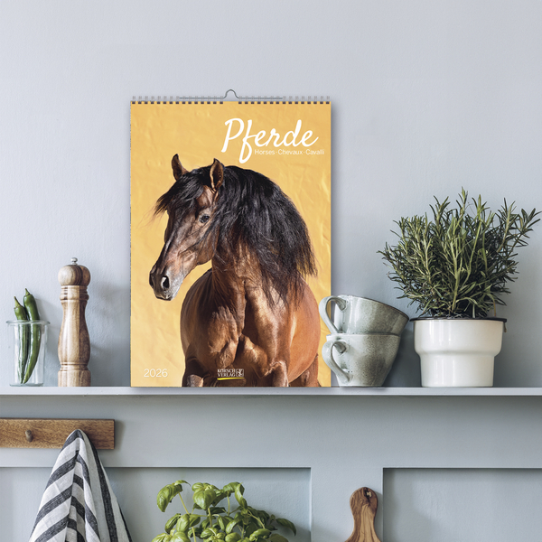 9783731883623_innenansicht_13 9783731883623_innenansicht_13.jpg