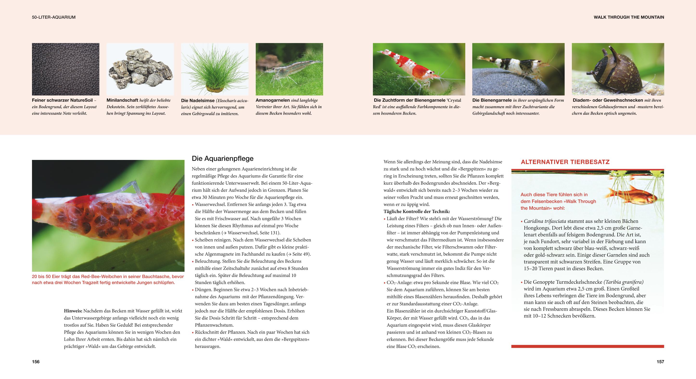 9783833824111_innenansicht_07 9783833824111_innenansicht_07.jpg