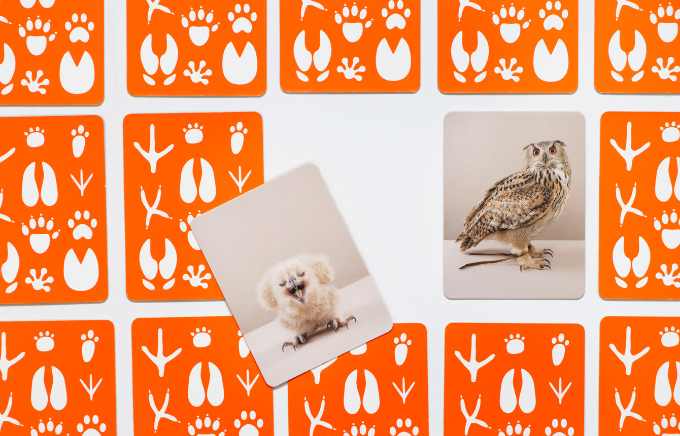 9783962442477_innenansicht_04 9783962442477_innenansicht_04.jpg