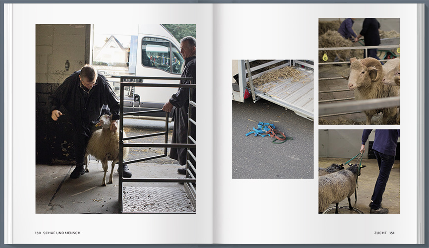 9783784356631_innenansicht_07 9783784356631_innenansicht_07.jpg