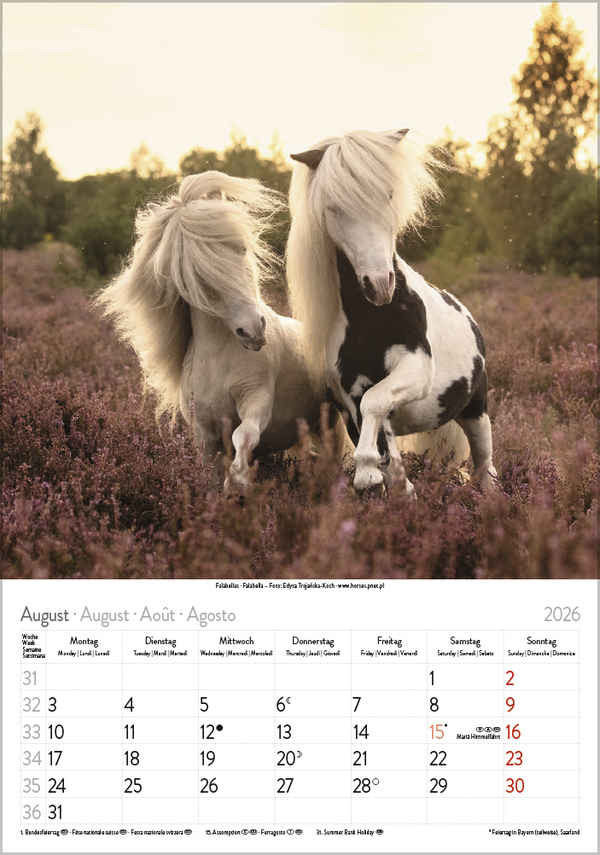 9783731883623_innenansicht_08 9783731883623_innenansicht_08.jpg